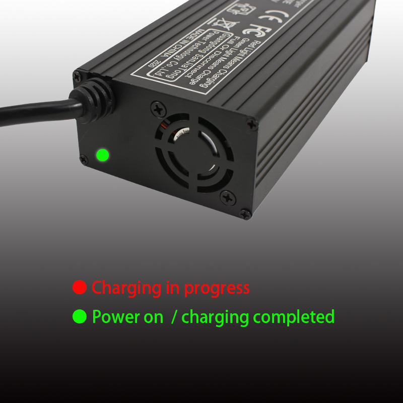 LiFepo4 Charger 3.65V 10A 7.3V - 84V 20A Smart Charger recension och pris